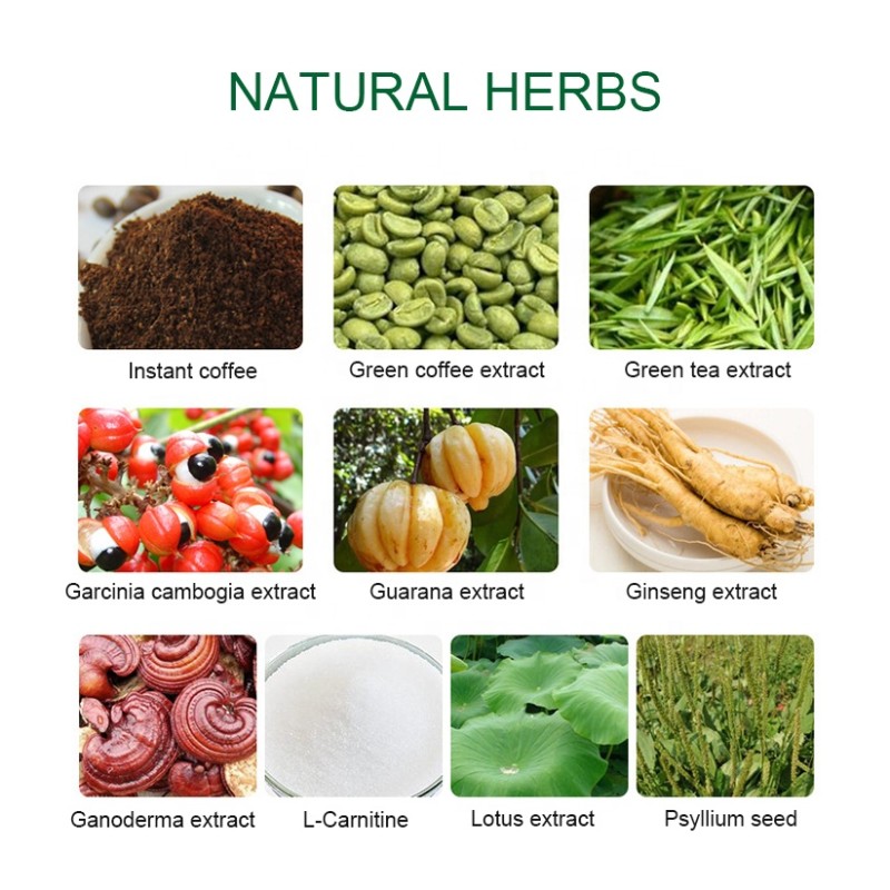 Green Coffee Powder Factory - 100% Natural Halal Fast Weight Loss Burning Fat