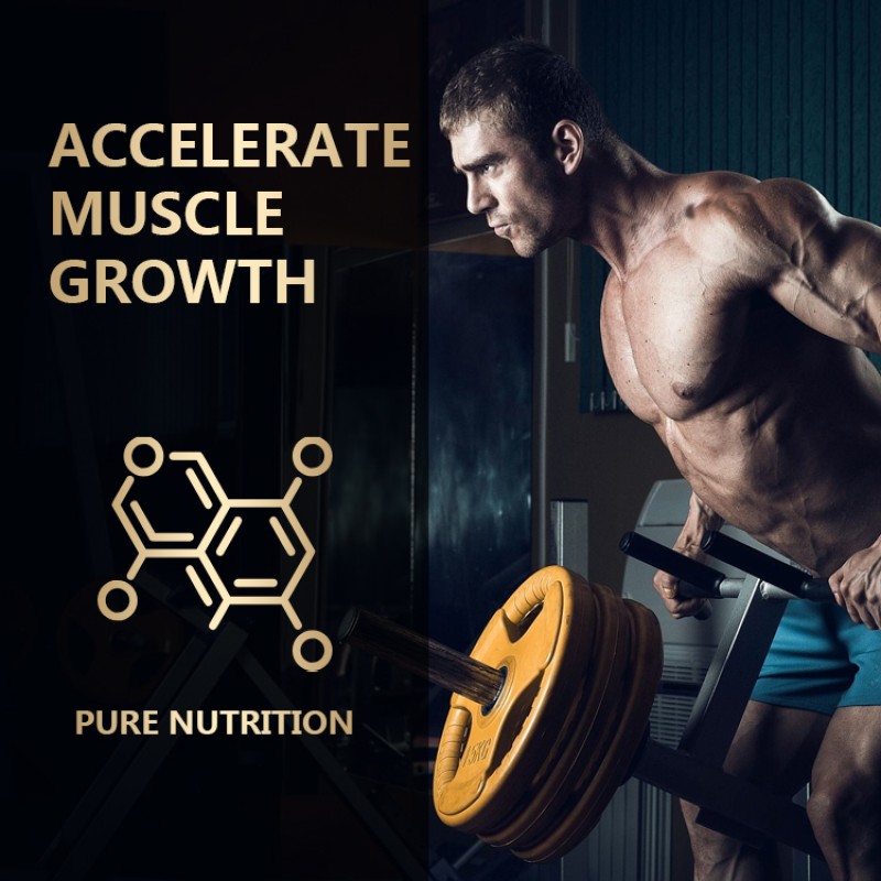 Whey Protein Powder Manufacturer - Wholesale OEM Production Muscle Growth