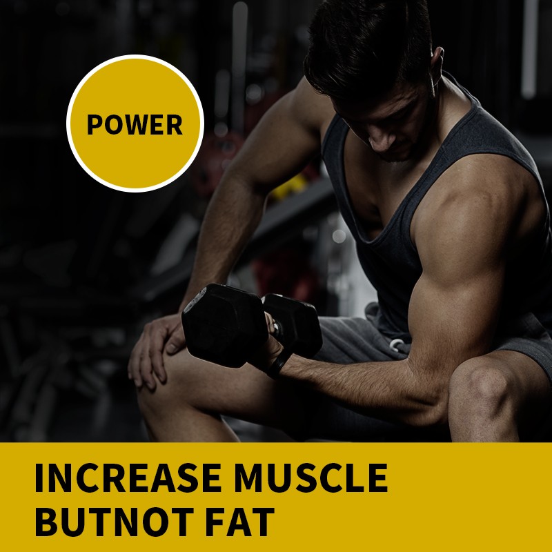 Whey Protein Powder Manufacturer - Wholesale OEM Production Muscle Growth