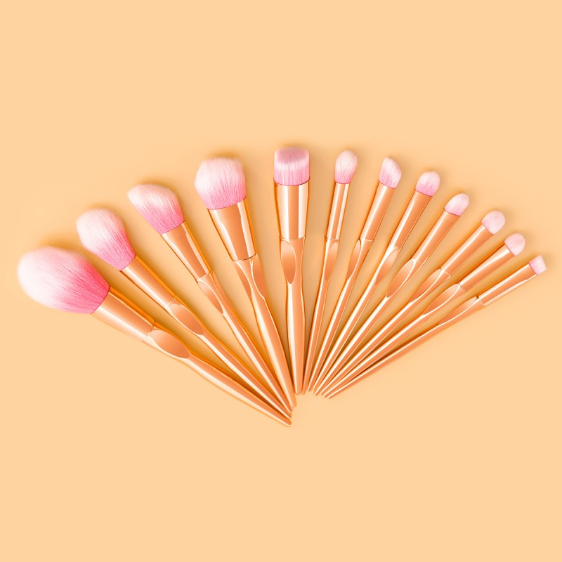 Professional Makeup Brush Set Manufacturer - 10 Piece High Quality Handle Airbrushed