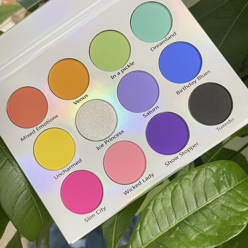 Eyeshadow Palette Factory - Wholesale Makeup 12 Colors New Style Long Lasting