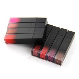 Lipgloss Manufacturer - B2B Hot Selling High Quality Customs Long Lasting Waterproof