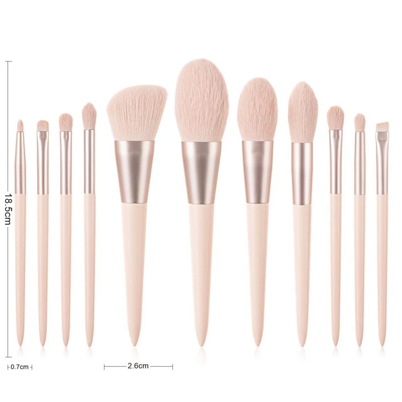 Eyeshadow Brushes Kit Manufacturer - Professional 11pcs Sets with Bag Private Label