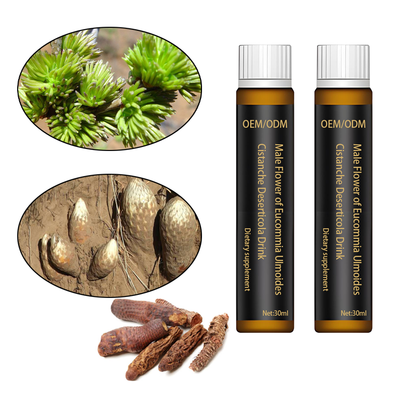 Male Vitality Drink Supplier - Eucommia Cistanche Oral
