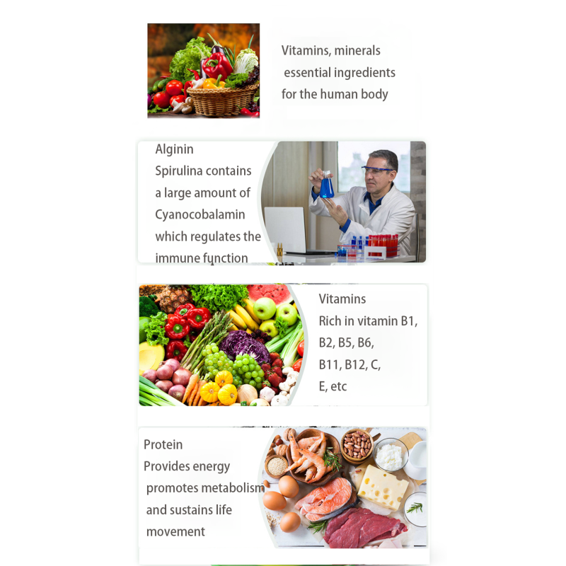 Spirulina Tablets Factory - Premium Organic Super Green