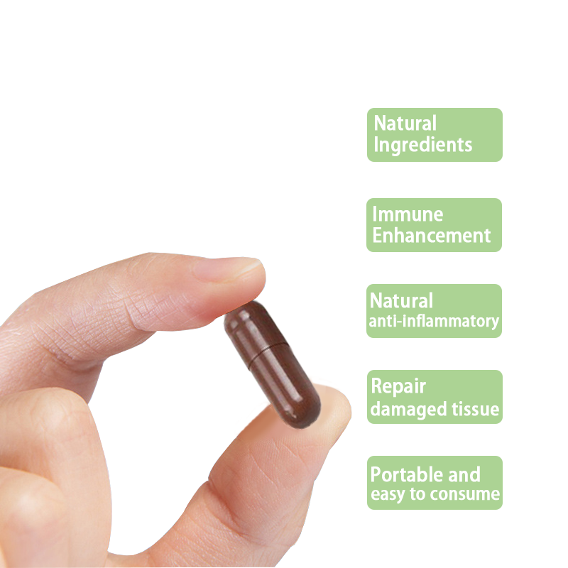 Seaweed Extract Supplement Manufacturer - Natural Energy Immune