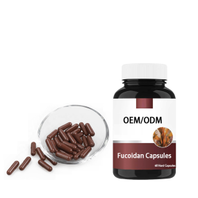 Fucoidan Capsules Factory - OEM Custom Immune Support