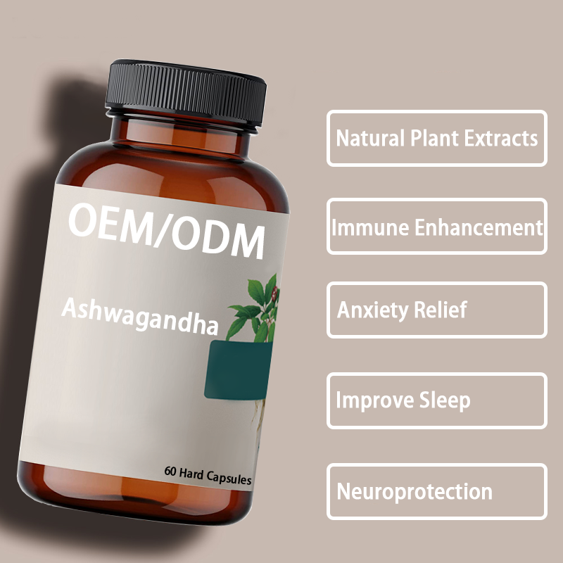 Ashwagandha Capsules Factory - Food Grade Organic Root