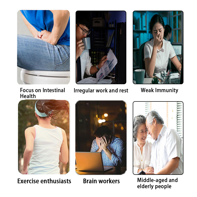 Multivitamin Powder Manufacturer - High Absorption Prebiotics