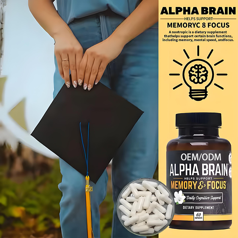 Alpha Brain Capsules Manufacturer - Hot Selling for Adults