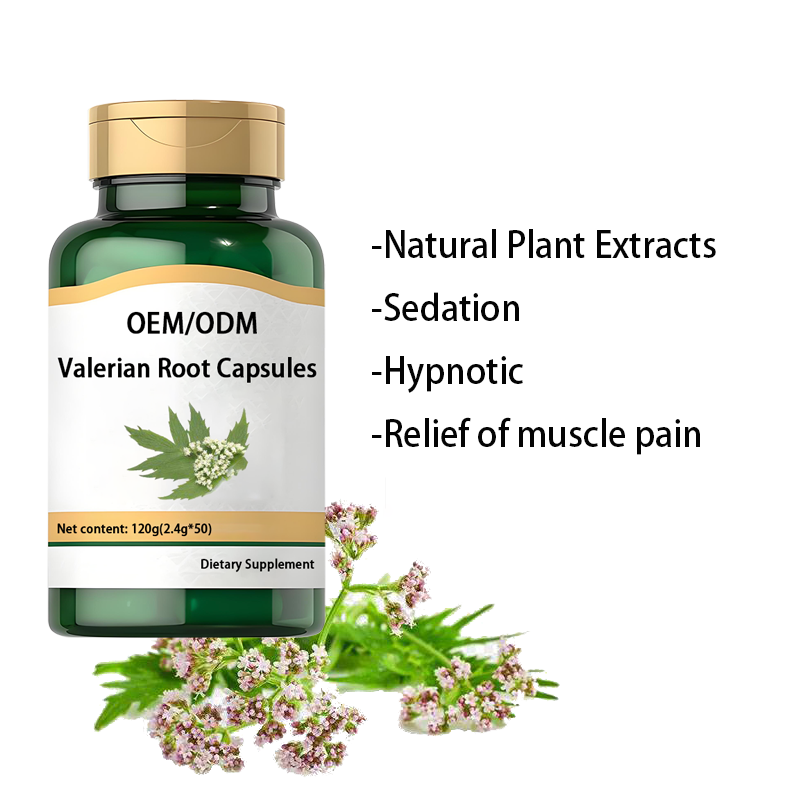 Valerian Root Capsules Supplier - Organic Natural Sleep Aid