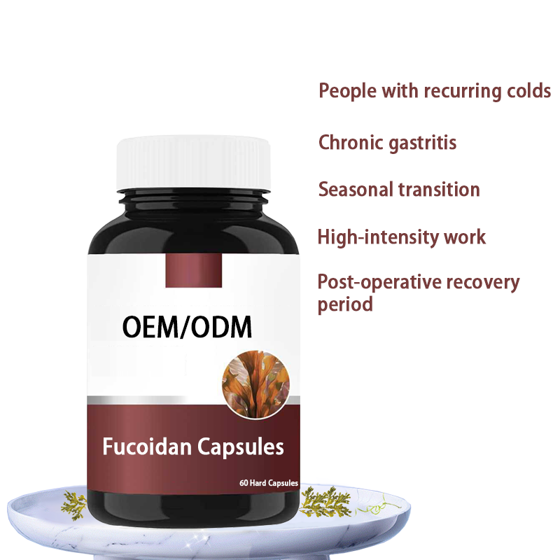 Fucoidan Capsules Factory - High Purity Immune Support