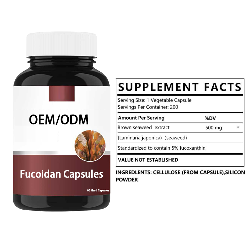 Fucoidan Capsules Factory - High Purity Immune Support