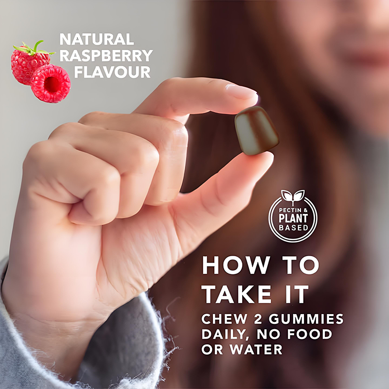 Lion's Mane Gummies Supplier - Natural Organic Cognitive