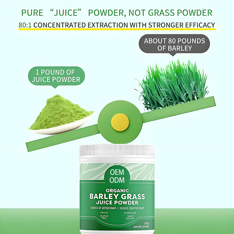 Barley Grass Powder Manufacturer - Organic Rich Chlorophyll