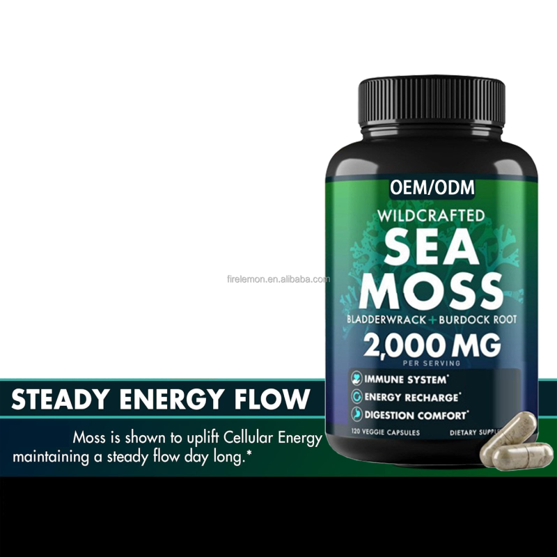 Sea Moss Capsules Factory - OEM Immunity Gut Health