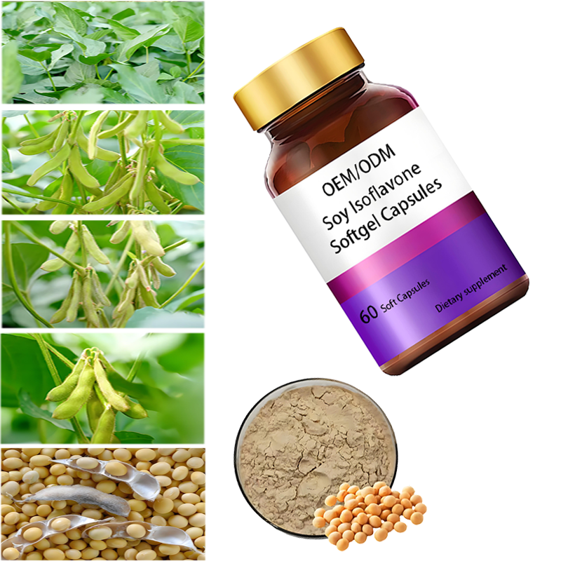 Soy Isoflavones Capsules Factory - OEM 60 Capsules Non-GMO