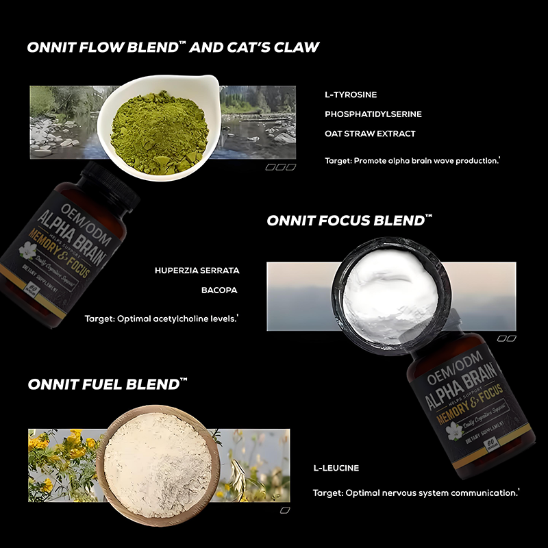 Alpha Brain Capsules Manufacturer - Hot Selling for Adults