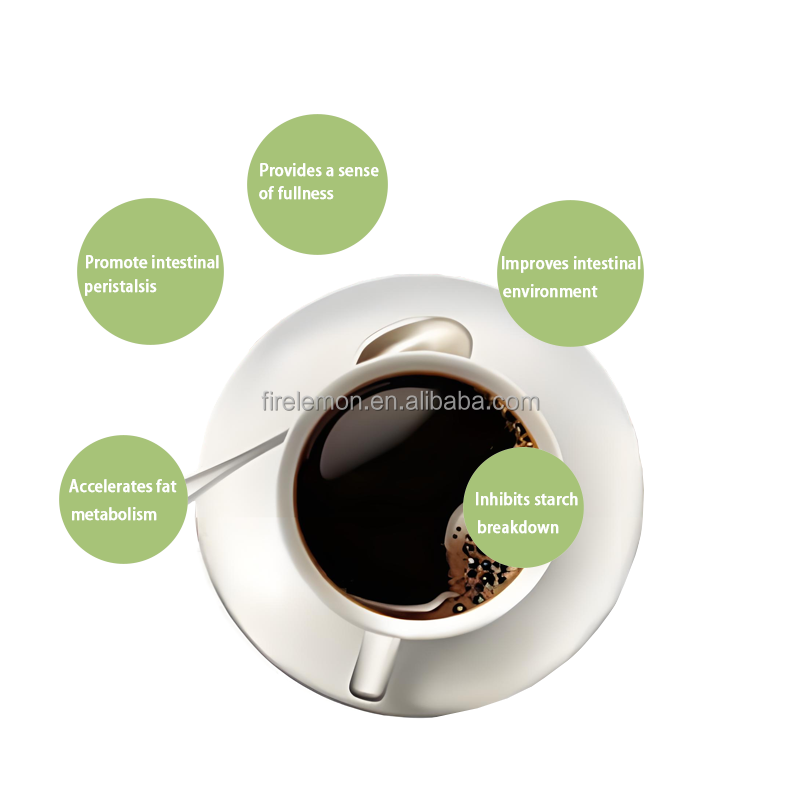 Enzyme Drink Supplier - Adult-Friendly Fermentation