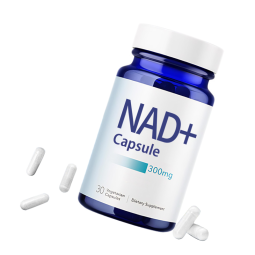 NAD Supplement Capsules Factory - OEM Cell Regeneration