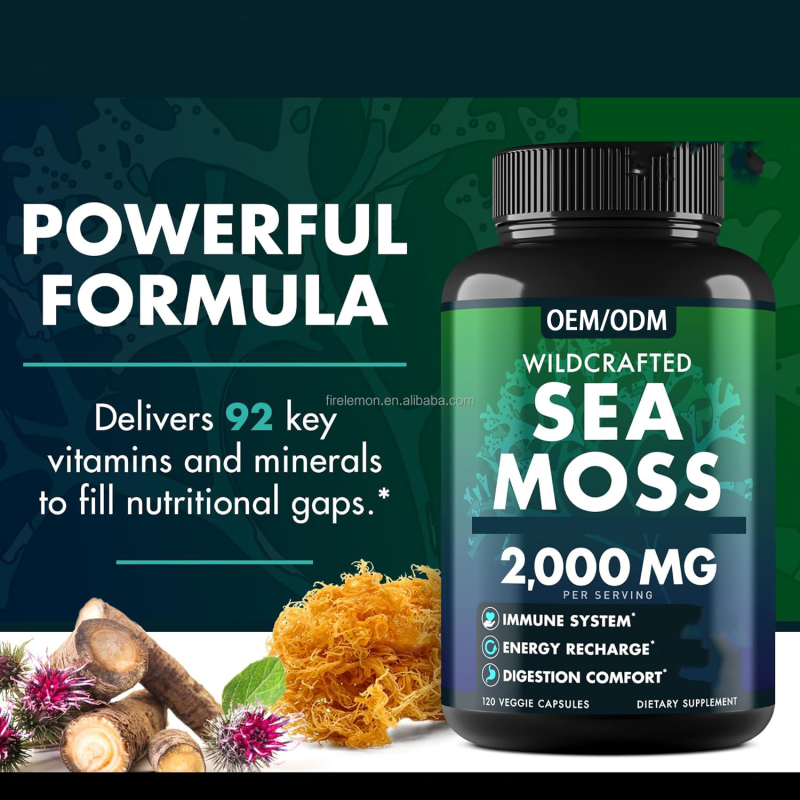Sea Moss Capsules Factory - OEM Immunity Gut Health