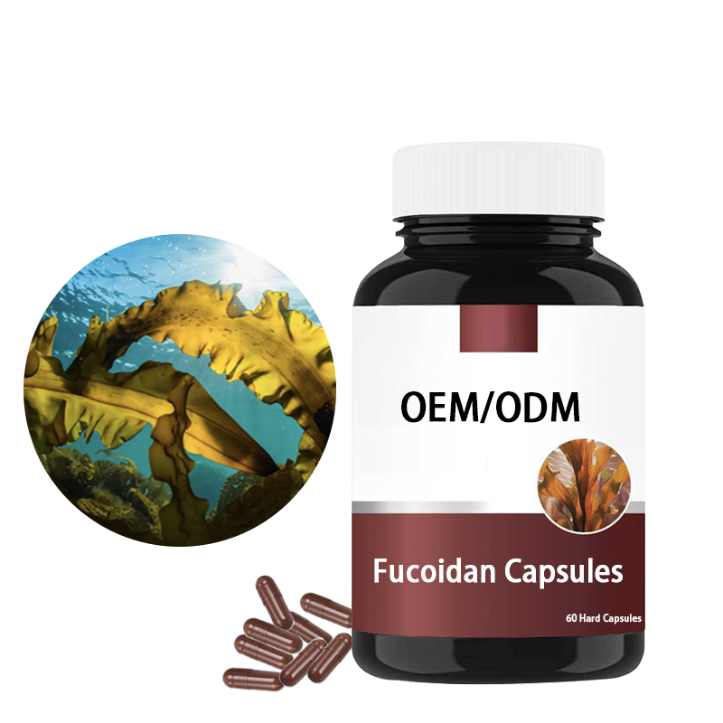 Fucoidan Capsules Factory - OEM Custom Immune Support