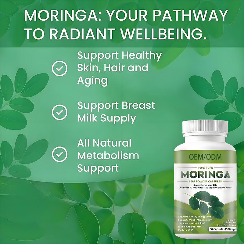 Moringa Powder Capsules Factory - Organic Antioxidant Immune