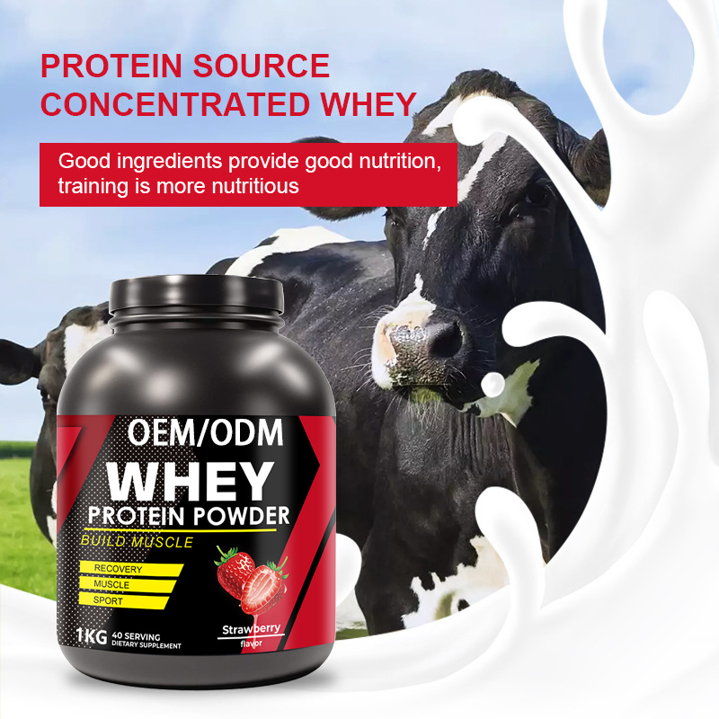 Whey Protein Powder Supplier - Large Pack OEM/ODM Gold