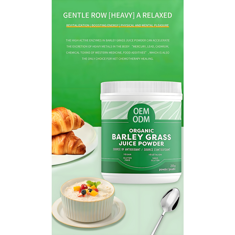 Barley Grass Powder Manufacturer - Organic Rich Chlorophyll