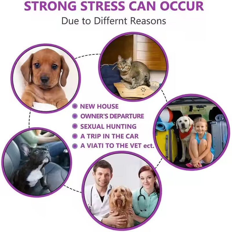 Pet Calming Collar Manufacturer - Hot Sale Adjustable Pheromone for Cats Dogs