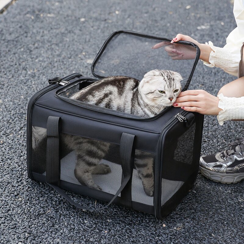 Pet Carrier Bag Manufacturer - Durable Foldable Cat Bag Travel Cage for Travel