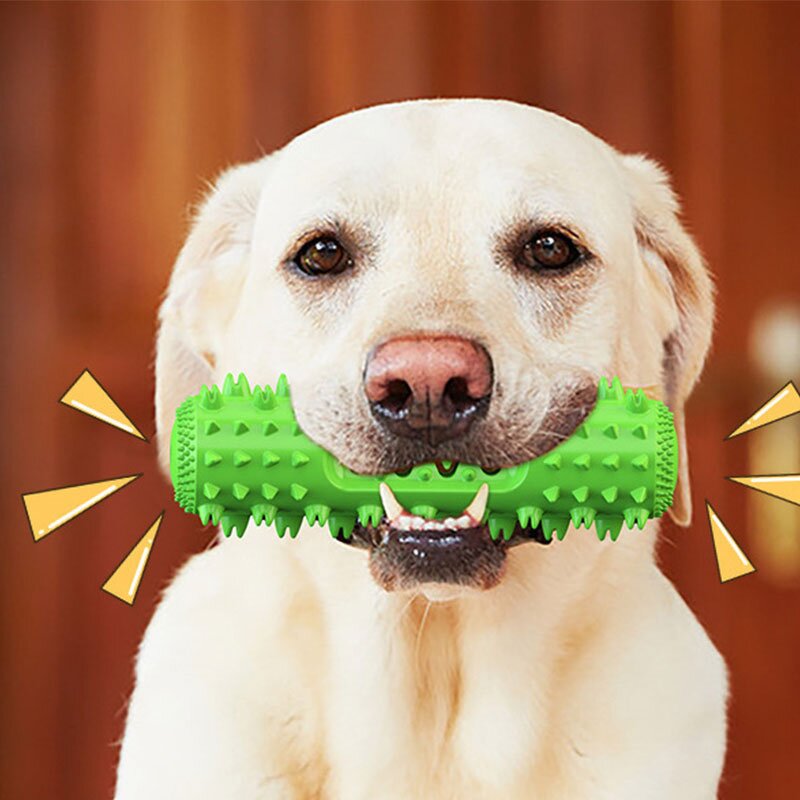 Dog Molar Toothbrush Manufacturer - Dental Care Durable Chew Toy Tooth Cleaning Stick
