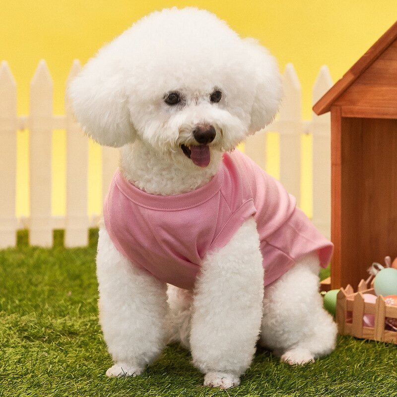 Pet Clothes Manufacturer - Summer Cheap Cotton Plain Color Blank Dog T Shirt