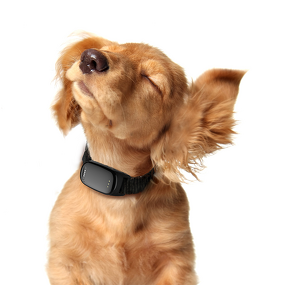Pet GPS Tracker Manufacturer - 2022 Best Buy Real Time Puppy Cat Locator Collars with APP