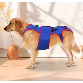 Pet Harness Manufacturer - Spine Support Apparel for Summer & Spring