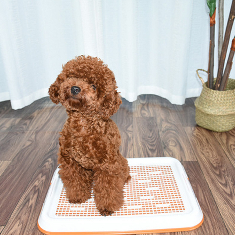 Dog Toilet Manufacturer - Safe Comfortable Plastic Flat Toilet Grid Durable for Small Dog Teddy