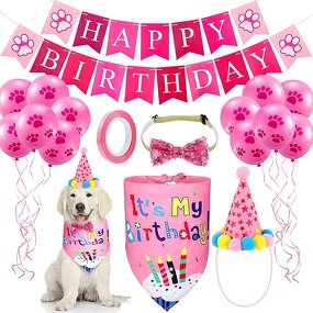 Dog Birthday Set Manufacturer - Decoration Pink Blue Ballon Hat Bandana Supplies