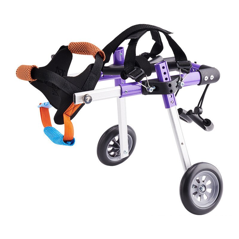 Pet Dog Wheelchair Manufacturer - Disability Scooter Car for Training & Behavior
