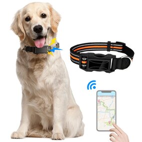 Pets Tracker Manufacturer - Anti-lost Anti-theft Mini Dog Collar Device Hidden Tracking GPS