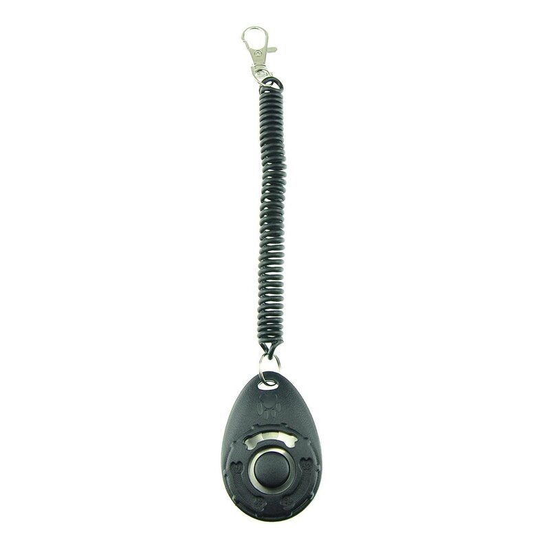 Dog Training Whistle Manufacturer - High Quality Customizable Logo Training Supplies Dog Flute Clicker