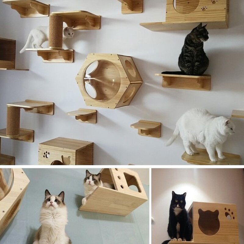 Cat Wall Shelf Manufacturer - Modern Wall Mounted Shelves Wooden Cat Tree Furniture Platform