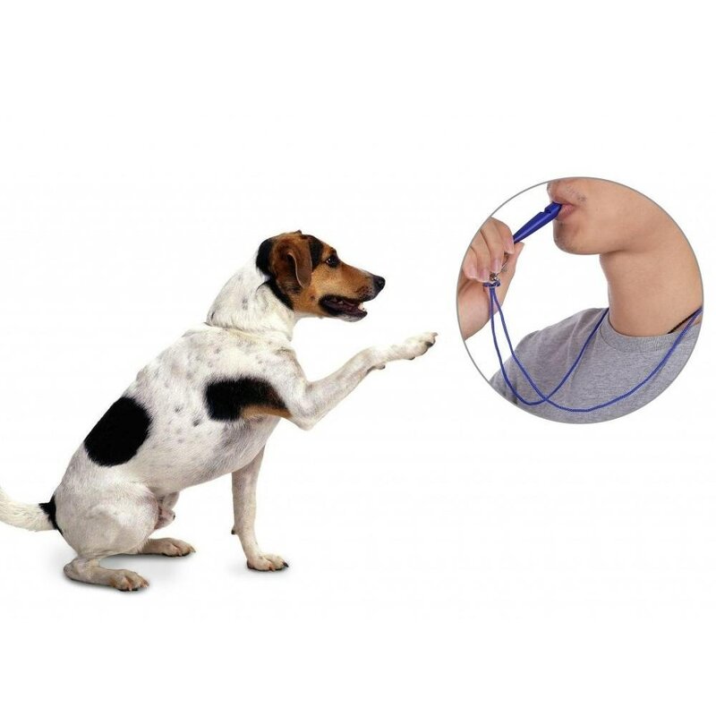 Dog Training Whistle Manufacturer - Adjustable Plastic Sound Stop Barking Training Pet Supplies