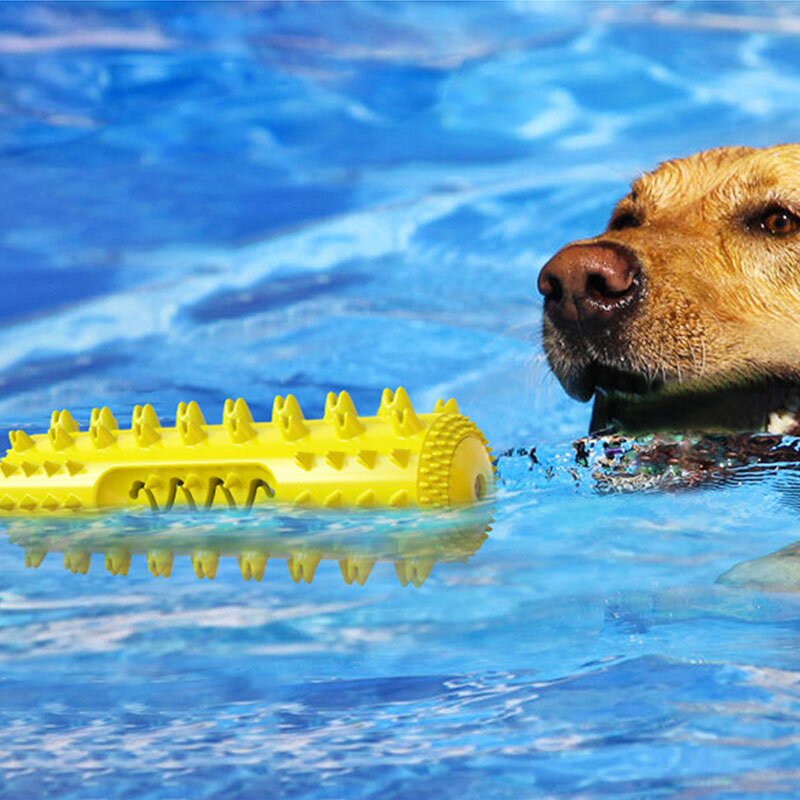 Dog Molar Toothbrush Manufacturer - Dental Care Durable Chew Toy Tooth Cleaning Stick