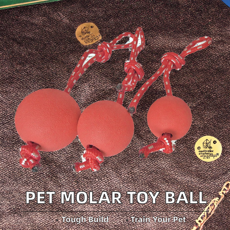 Dog Toy Ball Manufacturer - Rubber with Rope for Training Playing Chewing Solid Tooth Cleaning