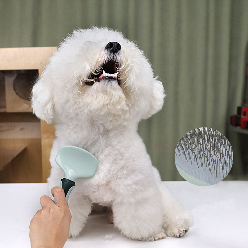 Pet Grooming Kit Manufacturer - 8 in 1 Tools Set with Bath Brush Nail Clipper Shedding Brush