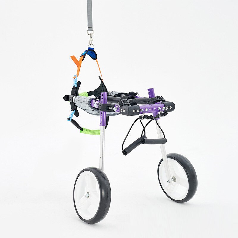 Pet Dog Wheelchair Manufacturer - Disability Scooter Car for Training & Behavior