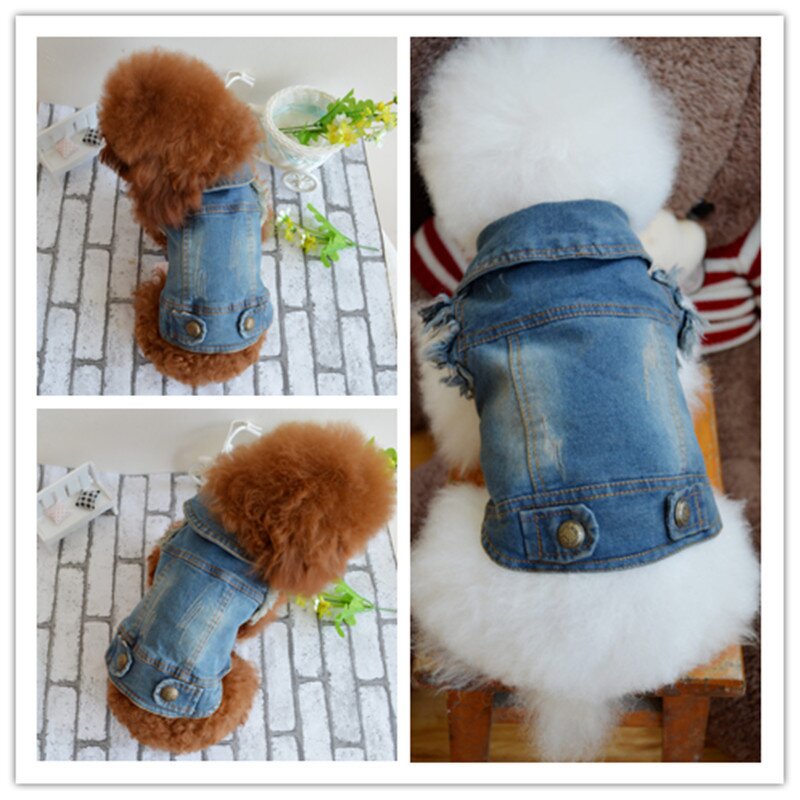 Pet Dog Vest Manufacturer - Fashionable Retro Scratch-Patterned Denim Jeans for Small Dogs Summer