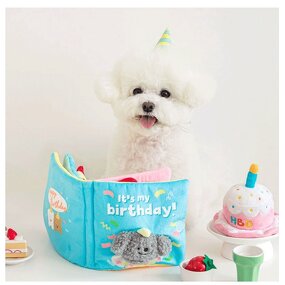Dog Toy Manufacturer - New Design Interactive Durable Treat Dispensing Hide and Seek Puzzle Book Birthday Toy