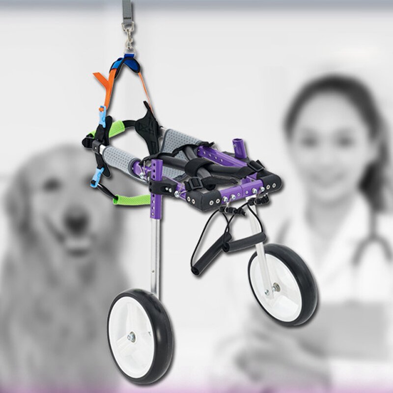 Pet Dog Wheelchair Manufacturer - Disability Scooter Car for Training & Behavior