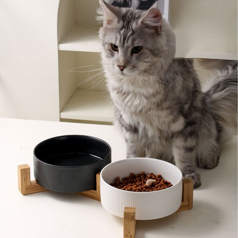 Pet Feeder Bowl Manufacturer - Large Capacity Thick Stable Multi-Colors Ceramic Customizable Logo